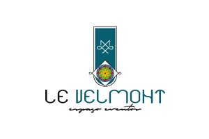 Owl Image